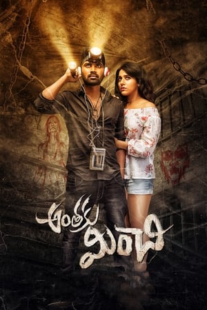 Anthaku Minchi (2018) Dubbed | Hindi Full Movie HDRip [1GB]