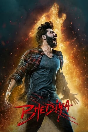 Bhediya 2022 Movie HDRip | Hindi Full Movie – 480p