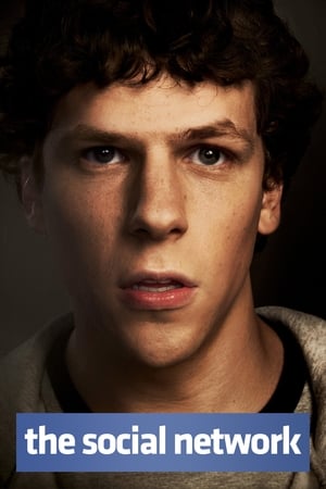 The Social Network 2010 Dual Audio | Hindi Full Movie BluRay [800MB]