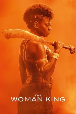 The Woman King 2022 (Cleaned) Dual Audio HDRip | Hindi Full Movie – 480p